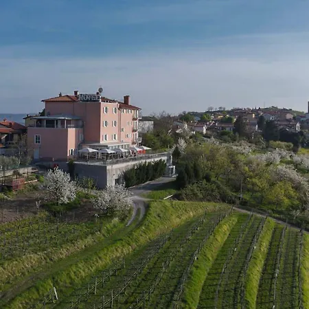 Kozana دوبروفو